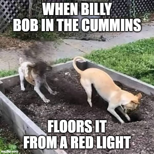 Billy Bob.jpg
